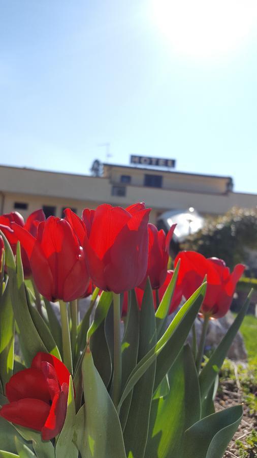 Hotel Vittoria Benevento Exteriér fotografie